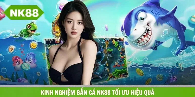 Kinh nghiệm săn cá đại dương thắng lớn dành cho bạn