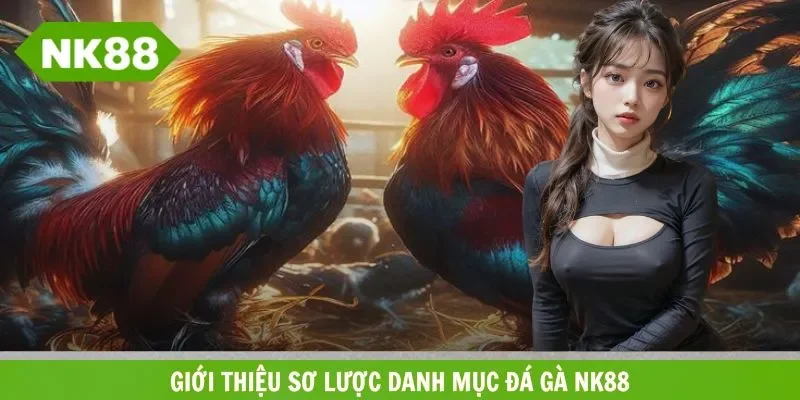 Sơ lược sảnh đá gà hấp dẫn tại cổng cược uy tín